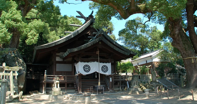 尾道　艮神社の御神木　フクロウ 艮（うしとら）神社 | びんなび
